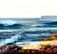 7-Day Byron Bay Evans Head and Moonee Beach Surf Safari from Brisbane Gold Coast or Byron Bay - Accommodation Adelaide
