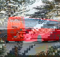 SkyBus Byron Bay Express - Accommodation Adelaide
