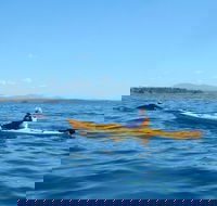 Whale Watching by Sea Kayak in Batemans Bay - Accommodation Adelaide