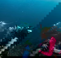 5-Hour Byron Bay Introductory Scuba Diving Tour - Accommodation Adelaide