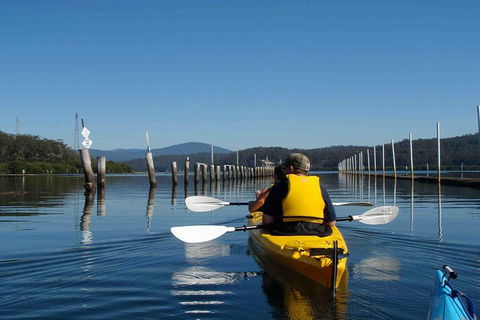 Batemans Bay Oyster Tasting Kayak Tour - Accommodation Adelaide 0
