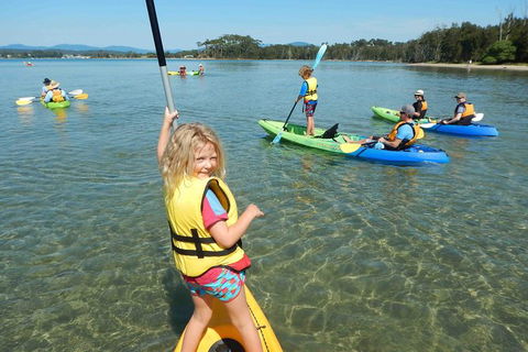 Batemans Bay Glass-Bottom Kayak Tour Over 2 Relaxing Hours - Accommodation Adelaide 0