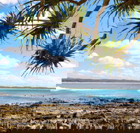 Arrawarra-Corindi Beach - Accommodation Adelaide