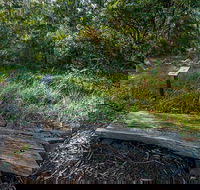 Browns Forest Loop Trail - Accommodation Adelaide