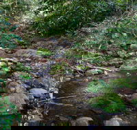 Cascades picnic area - Accommodation Adelaide