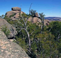 Evans Crown Nature Reserve - Accommodation Adelaide
