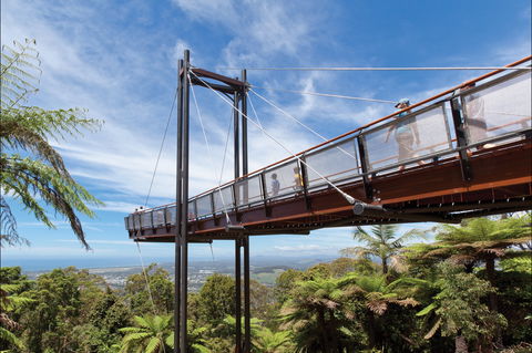 Forest Sky Pier, Sealy Lookout - Accommodation Adelaide 0
