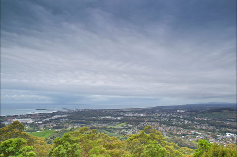 Forest Sky Pier, Sealy Lookout - Accommodation Adelaide 2