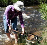 Fossicking - Accommodation Adelaide