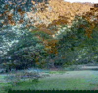 Griffins walking track - Accommodation Adelaide