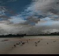Hardwicke Bay - Accommodation Adelaide