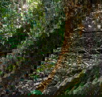 Hidden Treasure Track - Accommodation Adelaide
