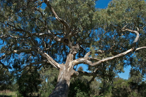 Holey Plains State Park - Accommodation Adelaide 0