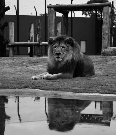 Hunter Valley Zoo - Accommodation Adelaide 0