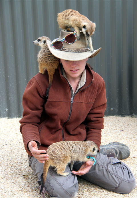 Hunter Valley Zoo - Accommodation Adelaide 2