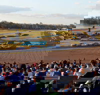 Ipswich Motorsport Precinct - Accommodation Adelaide