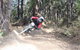 Jolly Nose Mountain Bike Park - thumb 0