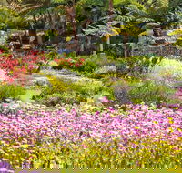 Jurassic Garden AR Experience - Accommodation Adelaide