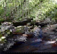 Kangaroo River - Accommodation Adelaide