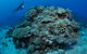 Keeper Reef Dive Site - thumb 1