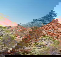 Lark Quarry Conservation Park - Accommodation Adelaide