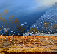 Lyn Barnes Gallery - Accommodation Adelaide