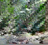 Lyrebird track - Accommodation Adelaide