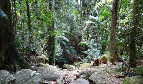 Lyrebird Track - Accommodation Adelaide 0