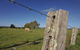 Macleay Valley Coast – Bellbrook Scenic Drive - thumb 1