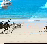 Mackay Harbour Beach - Accommodation Adelaide