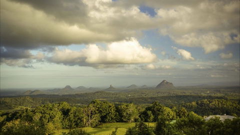 Mary Cairncross Scenic Reserve Rainforest Walk - Accommodation Adelaide 0