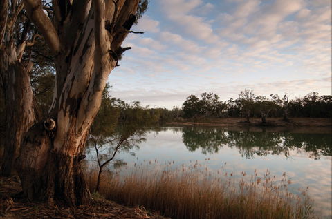 Murray-Kulkyne Regional Park - Accommodation Adelaide 0