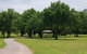 Nortons Park - thumb 0