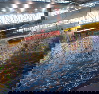 Oasis Regional Aquatic Centre - Accommodation Adelaide