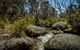 Pallaibo Walking Track - thumb 0