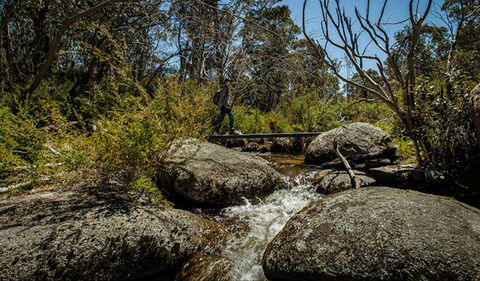 Pallaibo Walking Track - Accommodation Adelaide 0