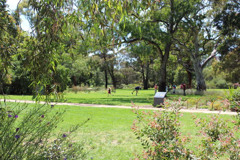 Parkville Heritage Walks - Accommodation Adelaide 2