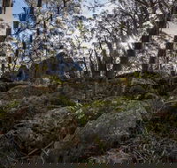 Pheasants Peak Walking Track - Accommodation Adelaide