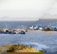 Portarlington - Accommodation Adelaide
