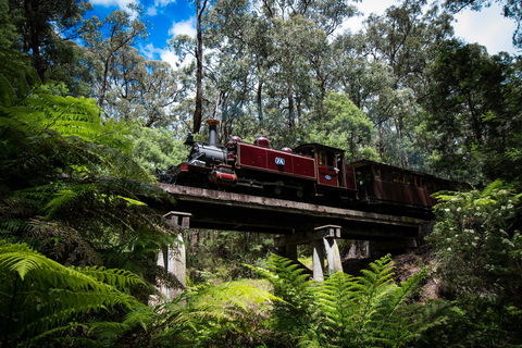 Puffing Billy Railway - Accommodation Adelaide 0