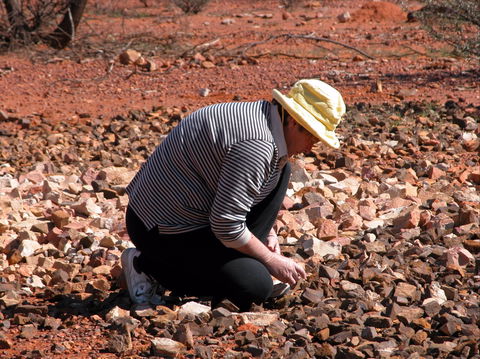 Quilpie Opal Fossicking - Accommodation Adelaide 1