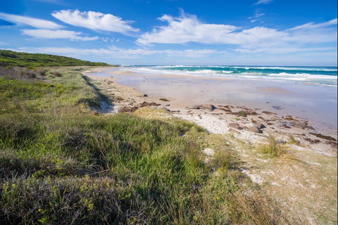 Racecourse Beach: Bawley Point - Accommodation Adelaide 0