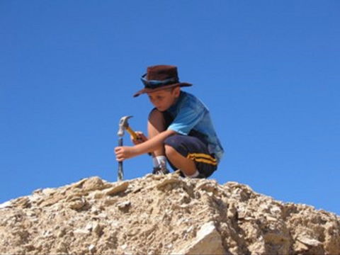 Richmond Fossil Hunting Sites - Accommodation Adelaide 0