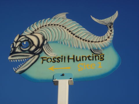 Richmond Fossil Hunting Sites - Accommodation Adelaide 1