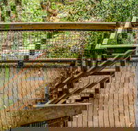 Somersby Falls walking track - Accommodation Adelaide