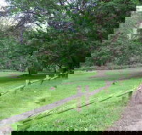 St Albans Reserve - Accommodation Adelaide
