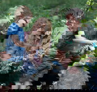 Tamworth Marsupial Park and Adventure Playground - Accommodation Adelaide