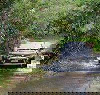 The Pioneer Valley and Eungella National Park - Accommodation Adelaide