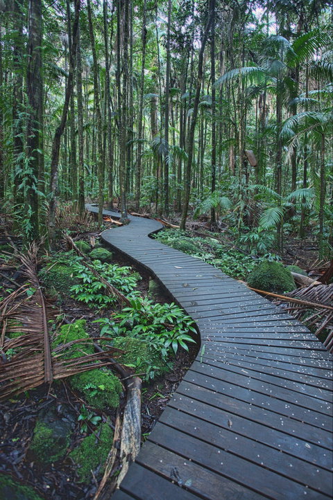 The Channon, Protesters Falls, Nimbin And Mount Nardi - Accommodation Adelaide 0