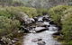 Thredbo River Track - thumb 0